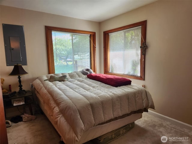 160 Gharet Rd, Randle, WA 98377 - carpeted bedroom featuring electric panel and baseboards