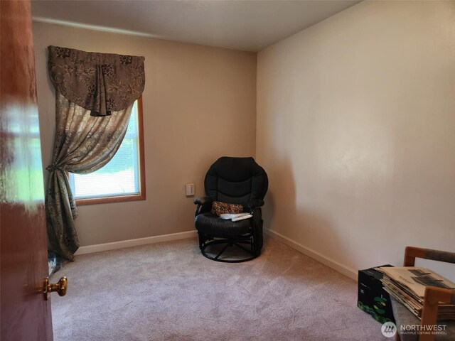 160 Gharet Rd, Randle, WA 98377 - unfurnished room with carpet and baseboards
