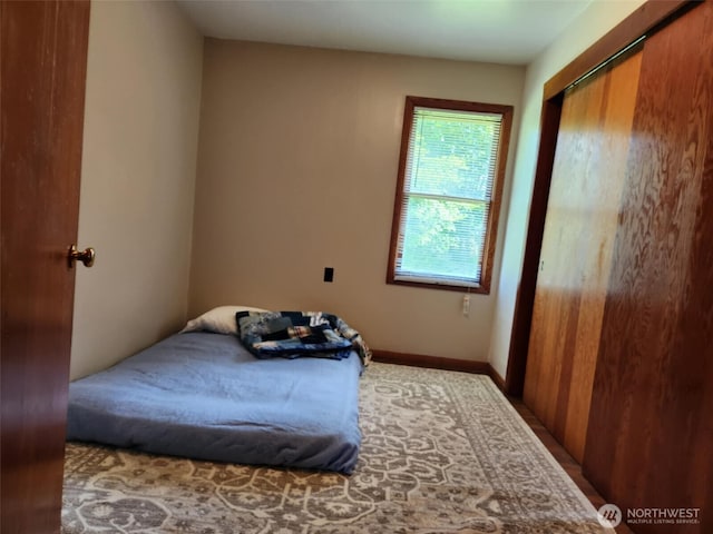 160 Gharet Rd, Randle, WA 98377 - bedroom with carpet and a closet