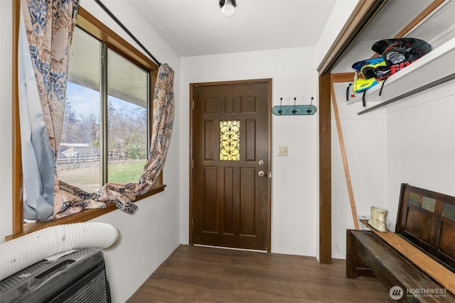 foyer entrance featuring wood finished floors