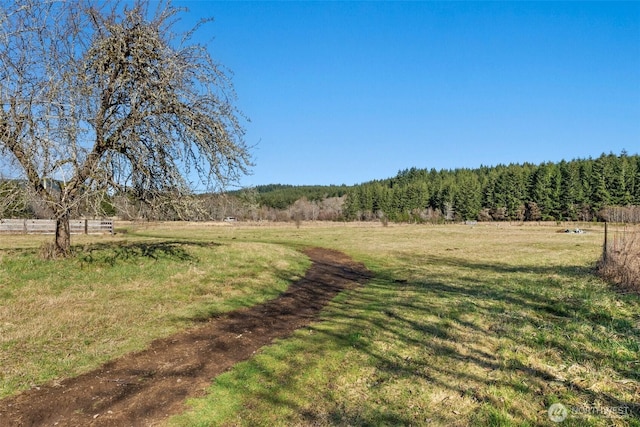 view of yard featuring a rural view