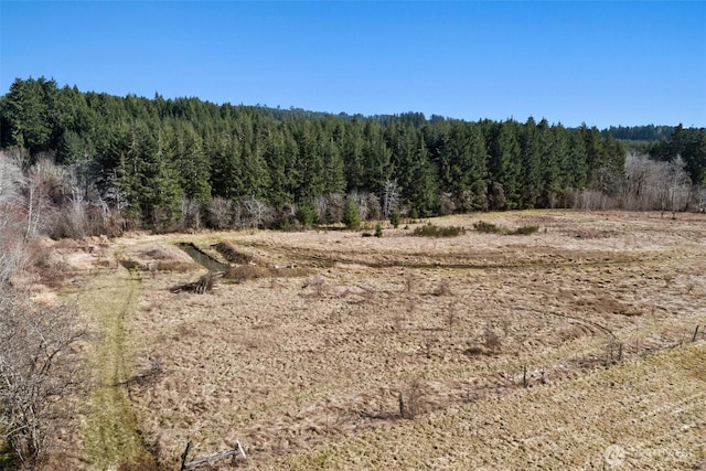 view of nature featuring a forest view