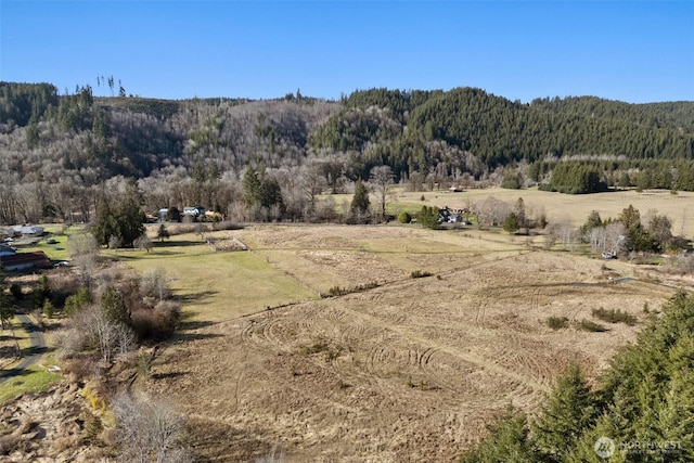 mountain view with a rural view and a view of trees