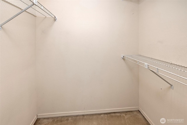 spacious closet with carpet floors