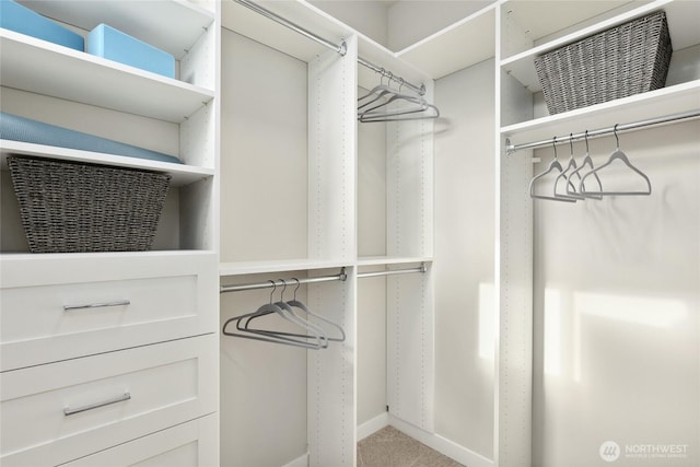 spacious closet with carpet floors