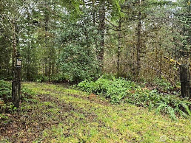 Listing photo 3 for 0LOT1 W Elk Hill Rd, Elma WA 98541