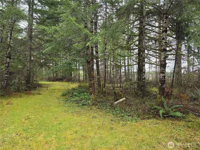 0LOT1 W Elk Hill Rd, Elma WA, 98541 land for sale