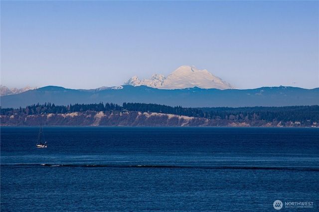 water view featuring a mountain view