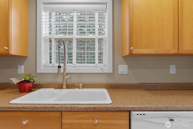 kitchen featuring dishwasher, a sink, and a wealth of natural light