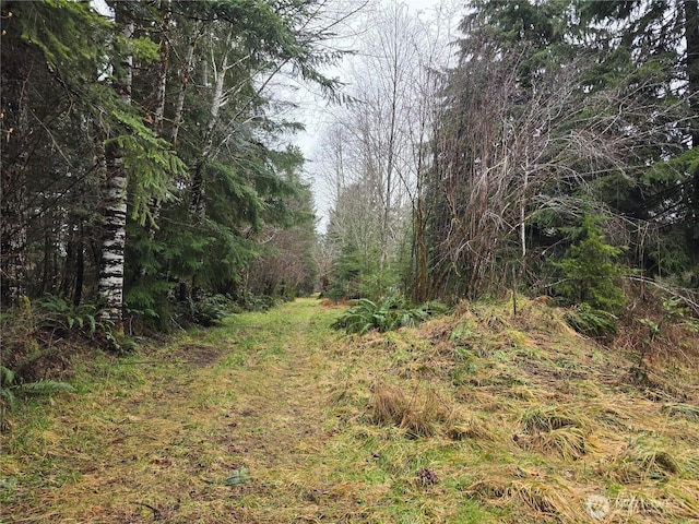 Listing photo 2 for 261 W Elk Hill Rd, Elma WA 98541