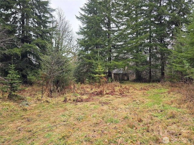 Listing photo 3 for 261 W Elk Hill Rd, Elma WA 98541