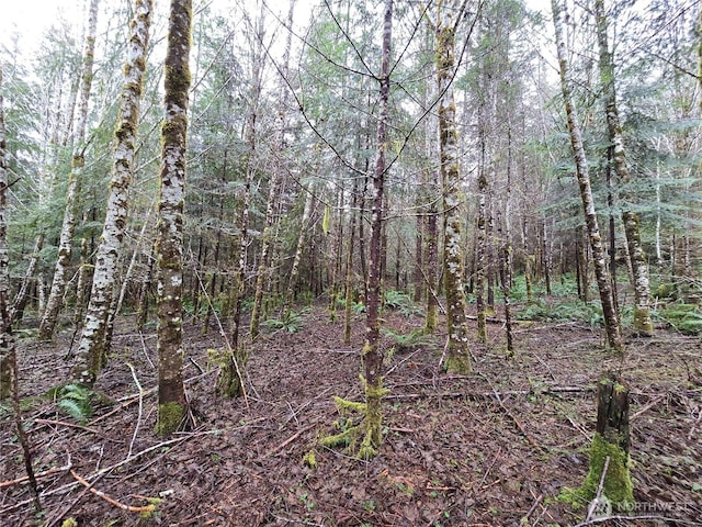 Listing photo 2 for 0LOT4 W Elk Hill Rd, Elma WA 98541