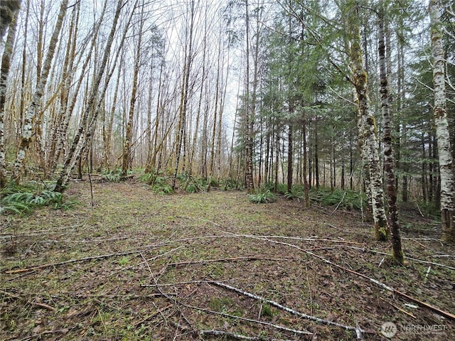 Listing photo 3 for 0LOT4 W Elk Hill Rd, Elma WA 98541