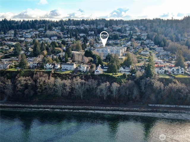 aerial view with a water view and a view of trees