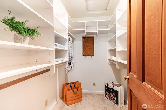 spacious closet featuring carpet flooring