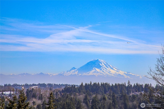 property view of mountains featuring a wooded view