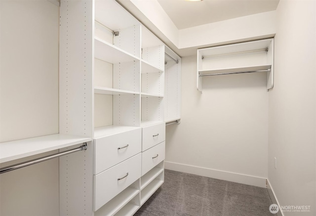 spacious closet featuring dark carpet