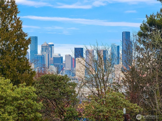 property's view of city