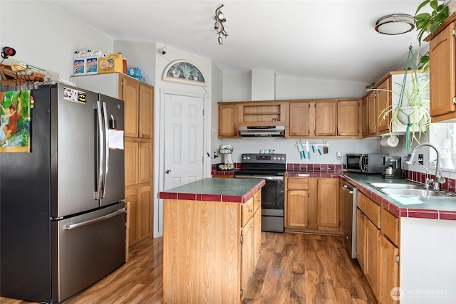 kitchen with a kitchen island, appliances with stainless steel finishes, vaulted ceiling, under cabinet range hood, and a sink