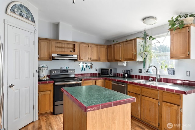 kitchen with light wood finished floors, lofted ceiling, stainless steel appliances, under cabinet range hood, and a sink