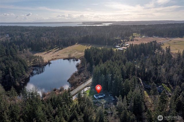 birds eye view of property featuring a forest view and a water view