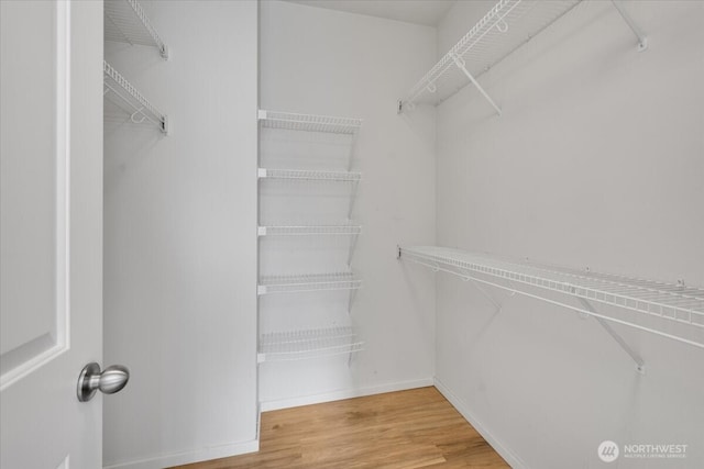 walk in closet featuring wood finished floors