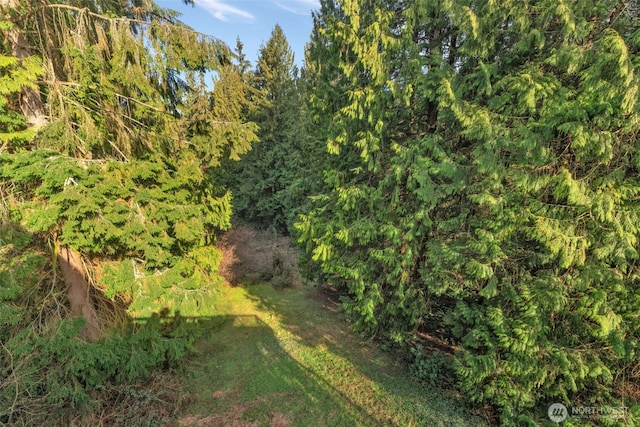 14120 139th Ave SE, Snohomish, WA 98290 - view of landscape with a forest view