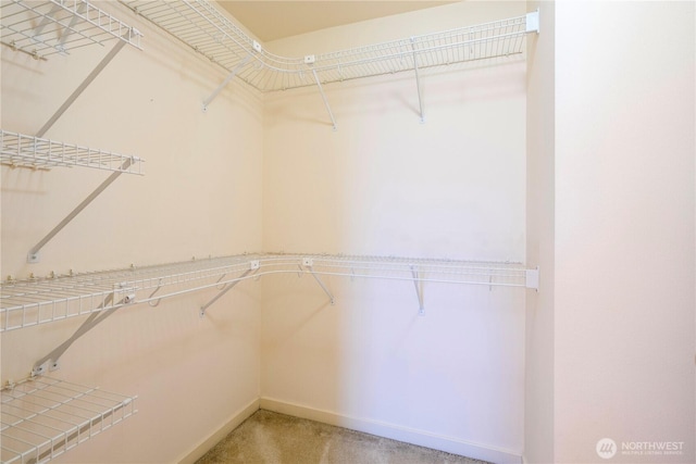 spacious closet featuring light carpet