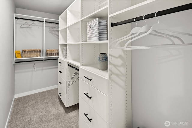 spacious closet featuring light carpet