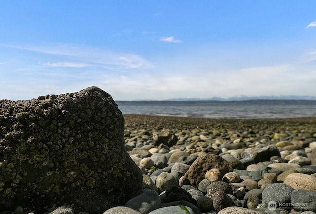 view of water feature