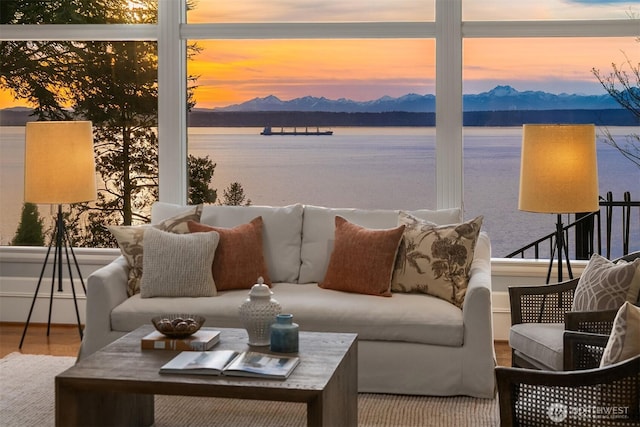 living area with wood finished floors, plenty of natural light, and a water and mountain view