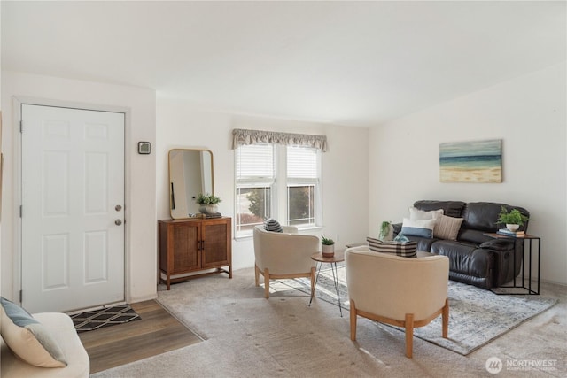 living room featuring wood finished floors