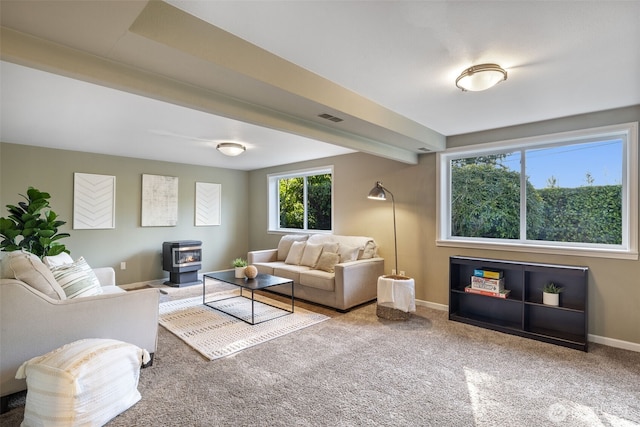 living area featuring a wood stove, carpet, visible vents, and baseboards