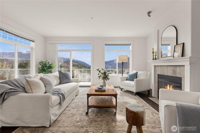 living area with a fireplace, a mountain view, and a wealth of natural light