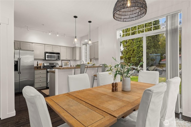 dining room with dark wood-type flooring and track lighting