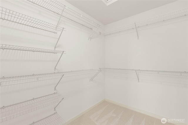 walk in closet with light carpet