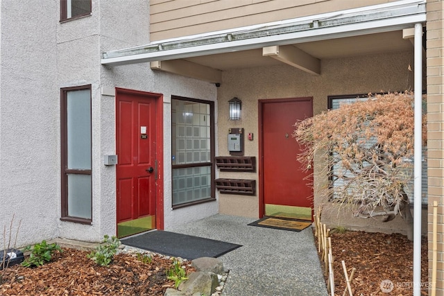 doorway to property featuring stucco siding