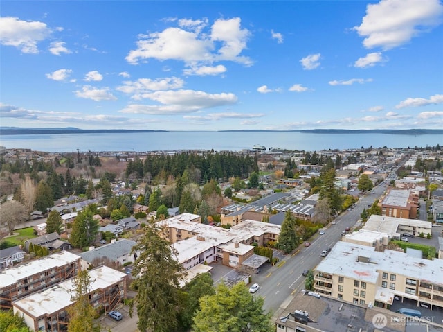 bird's eye view with a water view