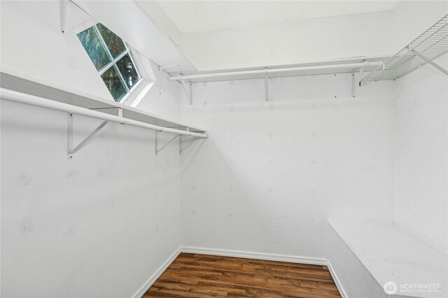 walk in closet featuring wood finished floors