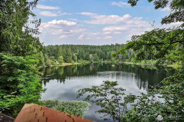 property view of water featuring a wooded view