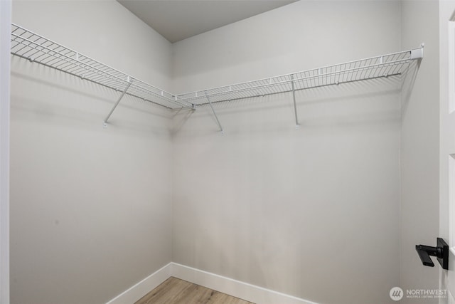 spacious closet with light wood-type flooring