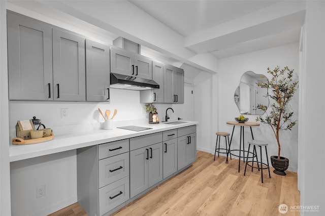 kitchen with black electric stovetop, gray cabinetry, under cabinet range hood, and a sink