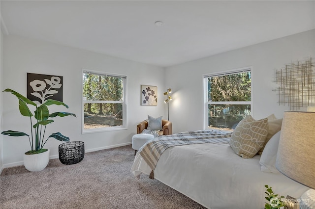 bedroom featuring baseboards and carpet flooring