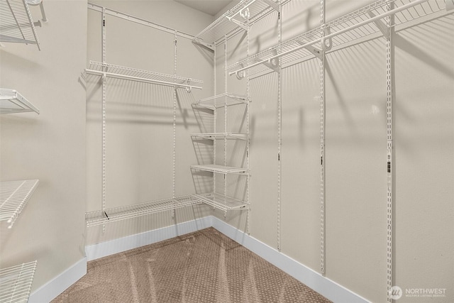 walk in closet featuring carpet