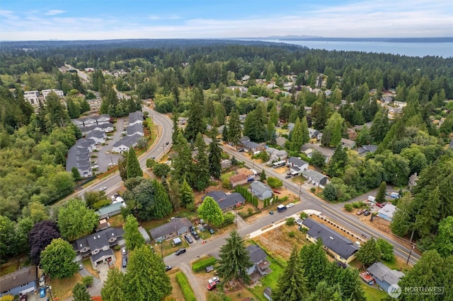 bird's eye view with a water view and a wooded view