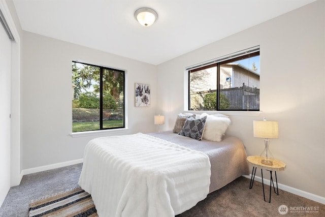 carpeted bedroom featuring multiple windows, a closet, and baseboards