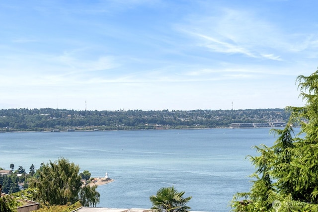 view of water feature