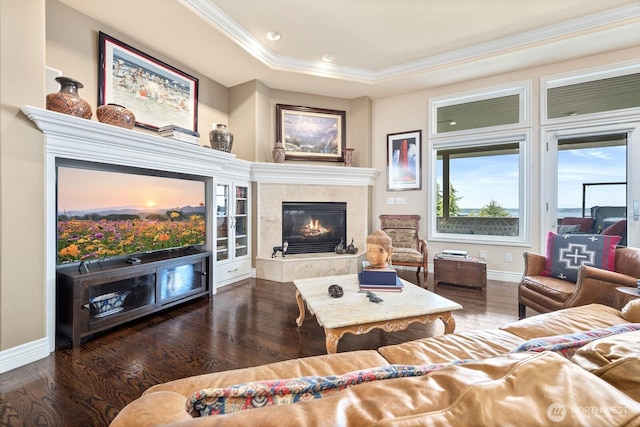 living room featuring baseboards, a fireplace, wood finished floors, and crown molding