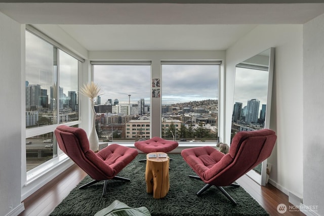 sunroom with a city view