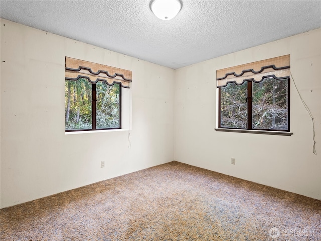 carpeted empty room featuring a textured ceiling